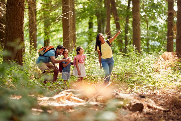 Family friendly walking safari activities