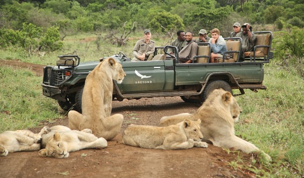 Luxury game drive adventure in Kafue National Park