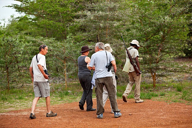 Professional walking safari guide